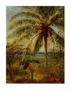 Albert Bierstadt, Palm Tree, Nassau by Albert Bierstadt